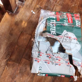 Kargo Teslimatında Kırık Ve Kirli Ürün, İade Reddi Tüketiciyi Mağdur Etti
