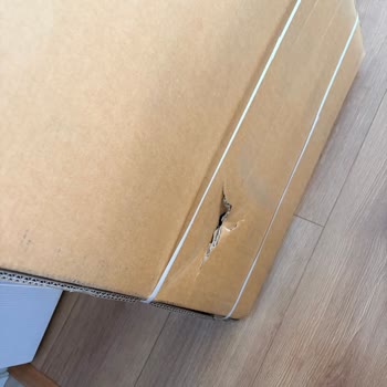 Hasarlı Yürüyüş Bandı Ve Kargo Görevlilerinin Yardım Etmemesi