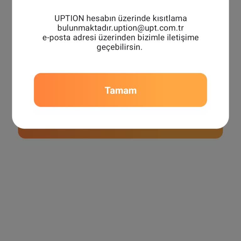 Hesabım Kısıtlandı Ve 3800 TL Erişemiyorum, Acil Yardım Gerekiyor