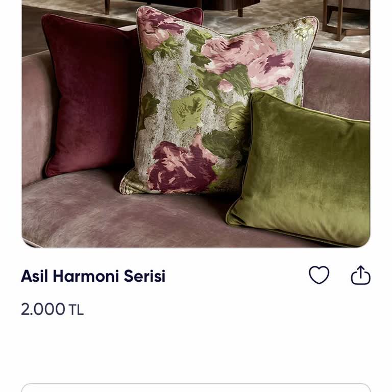 EFT Ödemesi Sonrası Instagram Hesabının Kaybolması Ve 3300 TL İadesi Talebi