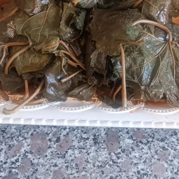 Instagram Satıcısından Aldığım Kuru Yaprakta Az Miktar Ve Kalitesiz Ürün