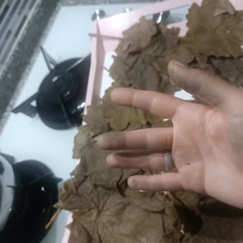 Instagram Satıcısından Aldığım Kuru Yaprakta Az Miktar Ve Kalitesiz Ürün