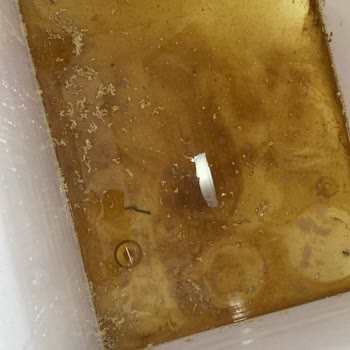 Beko Derin Dondurucu Arızaları Ve Bozulmuş Gıdalar İçin Garanti Kapsamında Tazminat Talebi