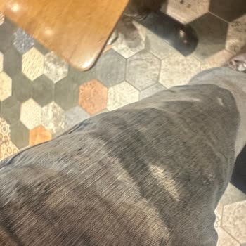 İstMarina Tavuk Dünyası'nda Aile Üzerine Limonata Dökülmesi Ve Saygısız Davranış