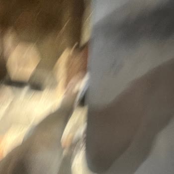 İstMarina Tavuk Dünyası'nda Aile Üzerine Limonata Dökülmesi Ve Saygısız Davranış