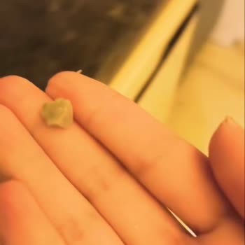 Şok Market Mısır Üründe Taş Keşfedildi