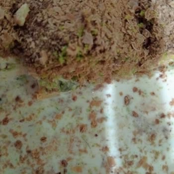 İzmir Sütlüsü Soğuk Baklava Ürünümün İçinden Kıl Çıktı