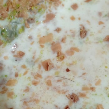 İzmir Sütlüsü Soğuk Baklava Ürünümün İçinden Kıl Çıktı