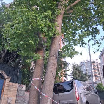 İSKİ Kamyonunun Kader Sokak'ta İnternet Kablosunu Kırması İş Ve Eğitim Mağduriyetine Yol Açtı