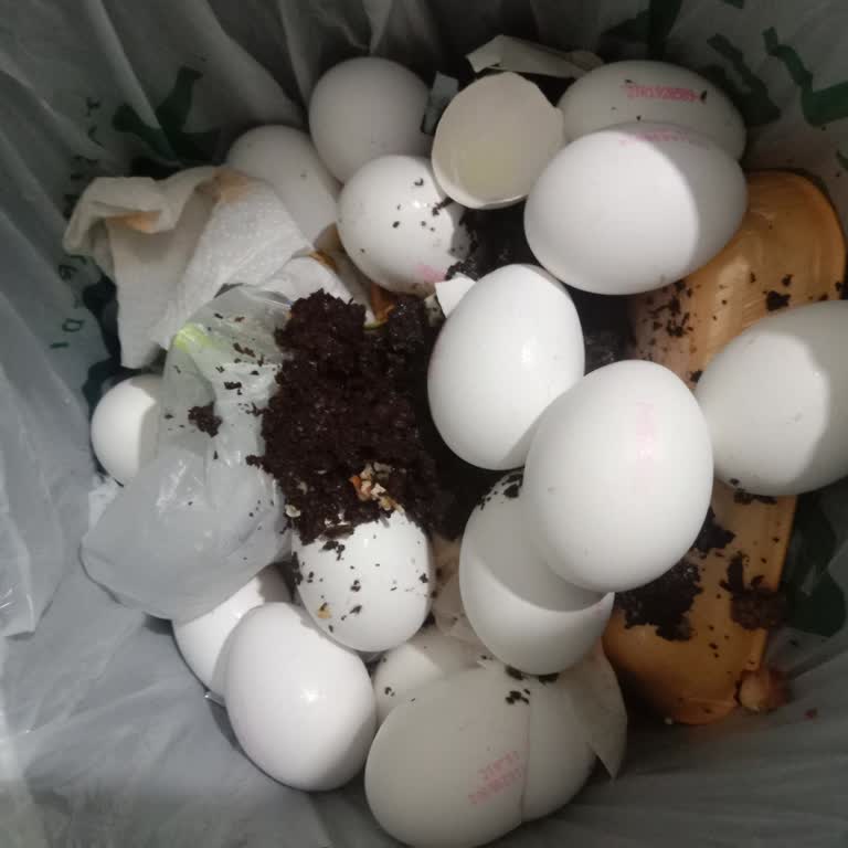 Yumurta Bozuk Çıktı, Sağlık Ve Maddi Mağduriyet
