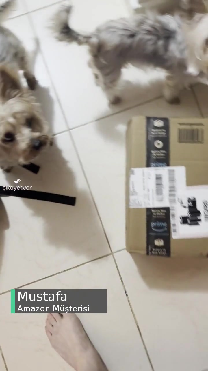 Amazon Siparişim Kutusu Açılmış Başkasının İade Ettiği Ürünler Geldi! videonun kapak resmi