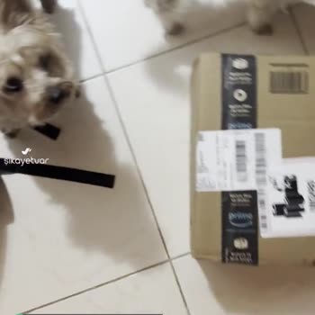 Amazon Siparişim Kutusu Açılmış Başkasının İade Ettiği Ürünler Geldi!