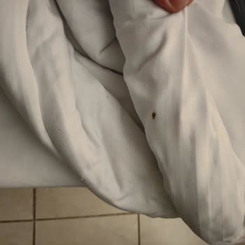 Tatilbudur Tur Rehberi İhmalkar, Otel Hijyeni Sorunlu ve Fiyatlandırma Şeffaf Değil