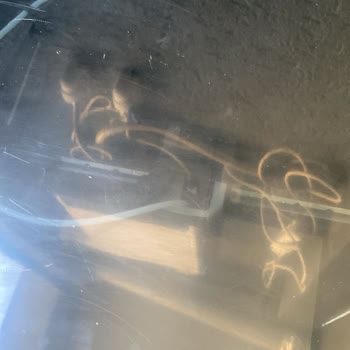 Kayıp Kablo, Kirli Cihaz Ve Kötü İletişim: Serviste Hayal Kırıklığı
