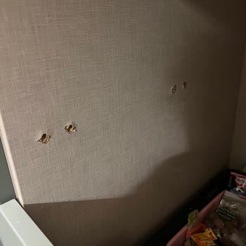 Ray Vidalarının Kırılması Nedeniyle Çekmece Düşmesi Ve Onarım İsteği