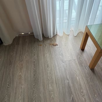 Otel Odasında İnsan Dışkısı Görüldü, Tatil İptali Ve Tazminat Talebi