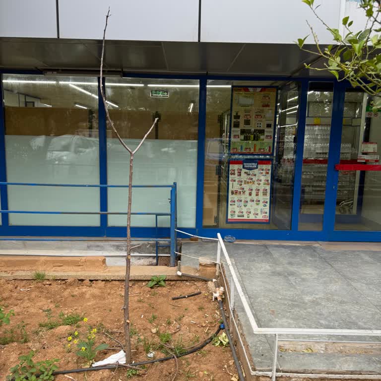 BİM Antalya Kepez Şubesinde Sokak Hayvanı Yem Ve Su Kapları Çöpe Atılıyor