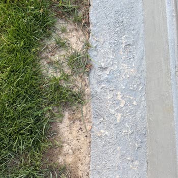 İntfa Tarım  Ayrık Otu Tohumu Çıkmadı, Şirket Sorumluluk Almıyor