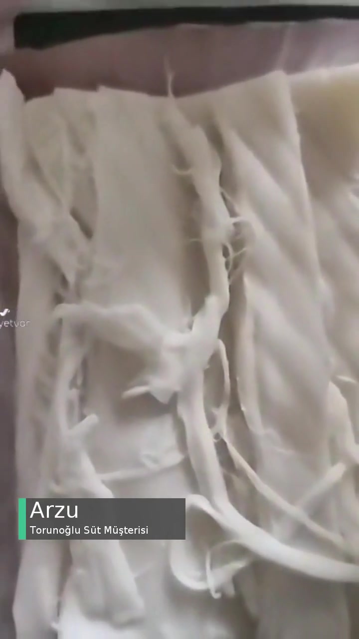 Torunoğlu Küflü Peynir, Bizlerin Sağlığının Bir Değeri Yok videonun kapak resmi