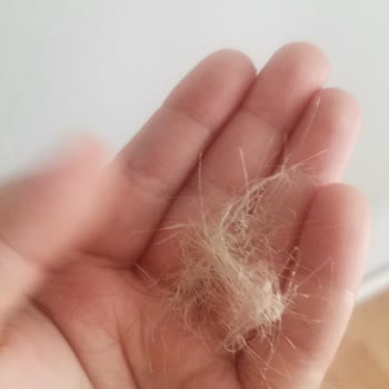 Hatice Ebrar Beauty Ne İstediğim Renk Elde Edildi Ne De Düzgün Bir Sonuç Ortaya Çıktı