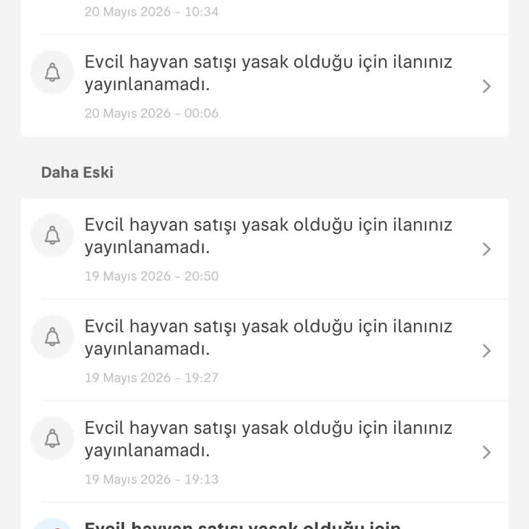 Ücretsiz Kedi Sahiplendirme İlanım Sistem Tarafından Hatalı Reddediliyor