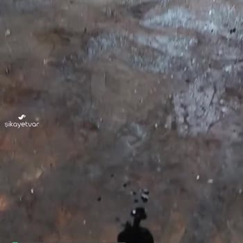 Tümosan Kocaman Bir Hüsran