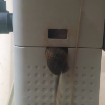 Sobo Akvaryum Motorunda Üç Ayda Parçaların Kırılması Ve Çalışmama