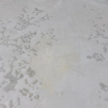 Yetersiz Tanıtım Ve Yanlış Deterjan Kullanımı Halımı Mahvetti