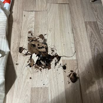 Çelenk Sokak'ta Çöken Taşlar Su Sızdırıyor Asfalt Yenileme Talebi