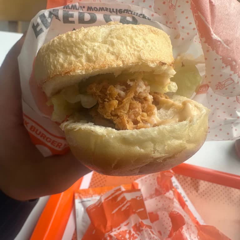 Hamburgerde Kıl Çıktı Hijyen Sorunu Ve Yetersiz Çözüm