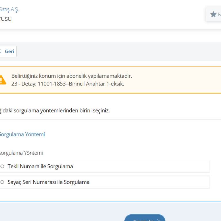 Elektrik Aboneliğim Yeniden Başlatılamıyor, E-Devlet Hatası Zaman Kaybına Neden Oluyor