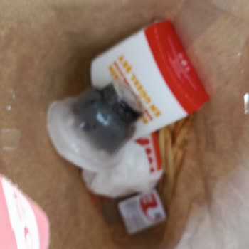 Trendyol GO Üzerinden Burger King Siparişinde Kalitesiz Ürünler Ve İade Reddi