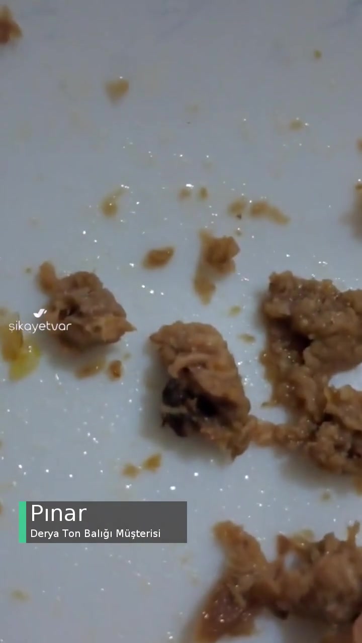 Derya Ton Balığı İçinden Kılçık Ve İstemsiz Bir Şey Çıktı! videonun kapak resmi