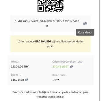 ERC20 Yatırımı İçin Gönderdiğim 12.300 TL Hesaba Yansımadı Ve Sorumluluk Reddi