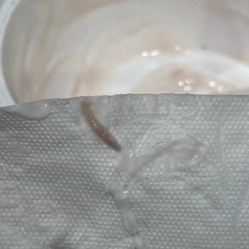 Sek Quark Çilekli Üründe Kurt Bulunması Hijyen Güvenini Sarsıyor