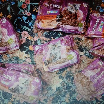 Patlamış Whiskas Junior Kedi Maması Paketleri Amazon'dan Yardımsız Bırakıldı