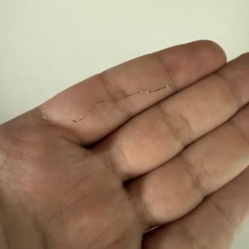 Çorba İçinde Bulaşık Teli: Sağlık Riski Ve Trendyol GO’nun Yetersiz Cevabı