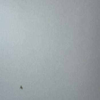 Rabi Mobilya’da Gecikmeli Teslimat Ve Defolu Gardırop İçin Tam İade Talebi