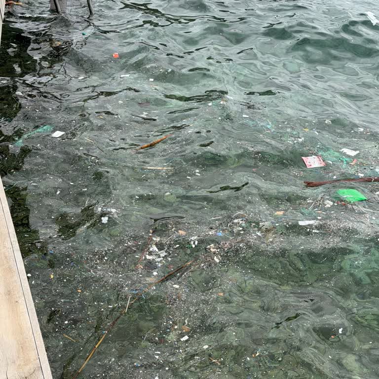 The Plaza Bodrum’da Alkol Eksikliği Ve Yavaş Servis Şikayetleri