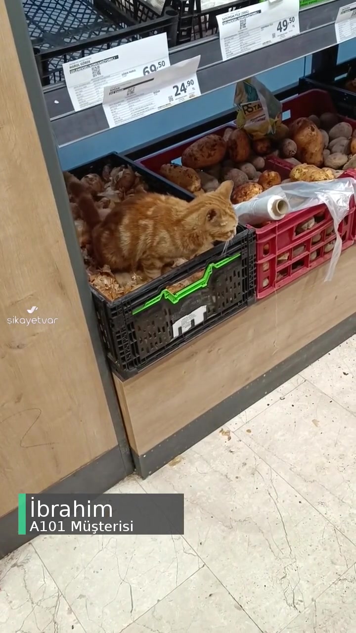 A101 Yine Bildiğiniz Gibi videonun kapak resmi
