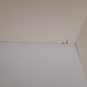 45 Gün Geciken Teslimat, Hasarlı Ve Eksik Mobilyalar