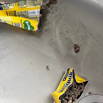 Nesquik Muzlu Süt Kutusunda Şüpheli Koku Ve Yabancı Madde