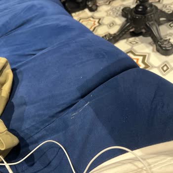 Kedilerin Kokusuyla Boğulan N******* S**** Kütüphanesi: Hijyen Ve Alerji Riskleri