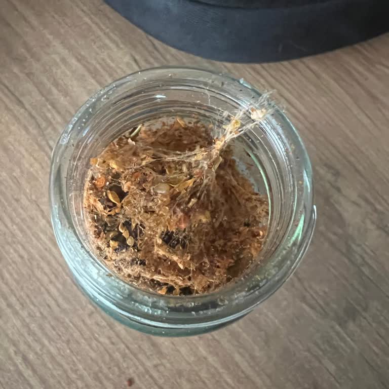 Hayfene Sandviç Tost Baharatı'nda Kurtlanma Ve Gıda Güvenliği Endişesi