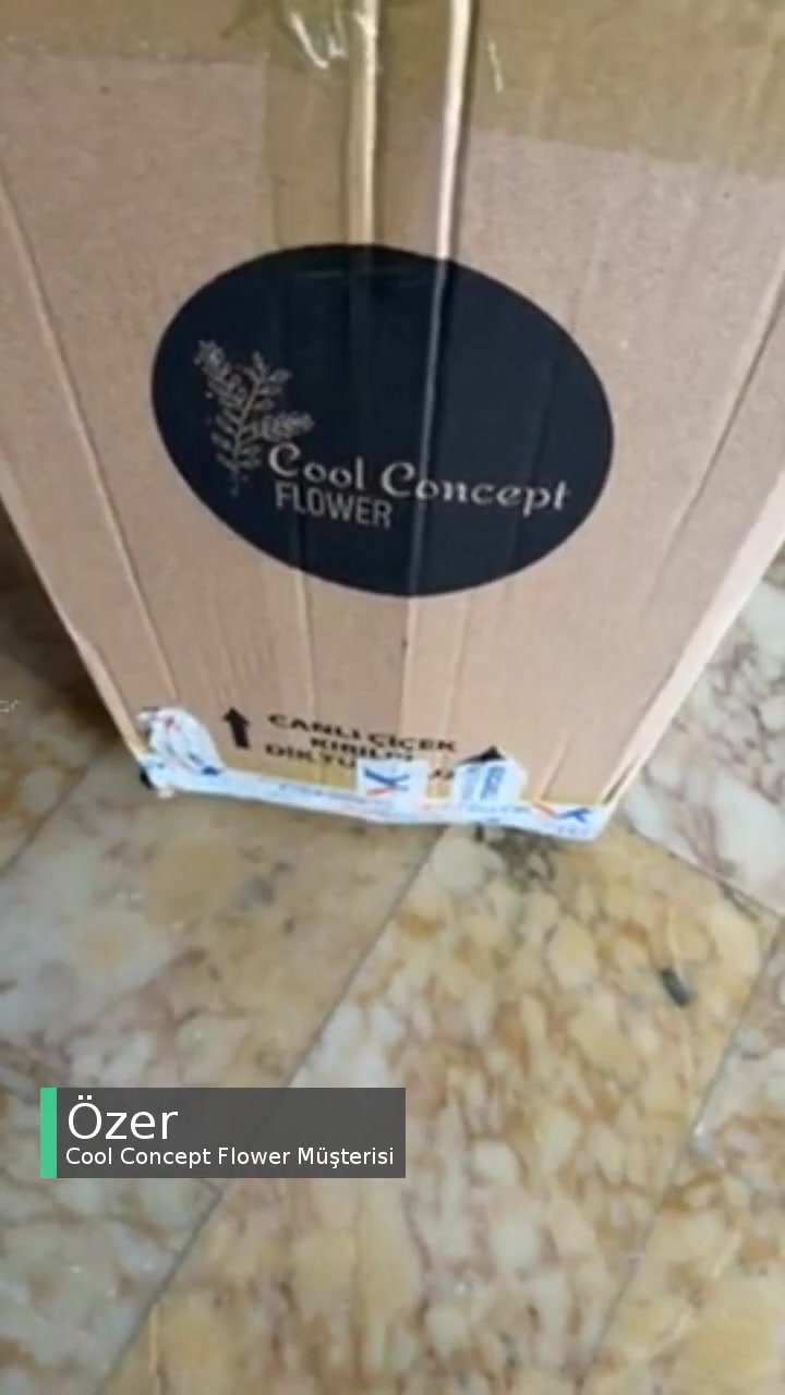 Cool Concept Flower Özensiz Kargo Hizmeti videonun kapak resmi