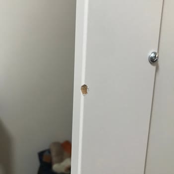 İstikbal Akhisar Şubesinden Gelen Defolu Yatak Odası Takımı Ve 7 Aylık Gecikme