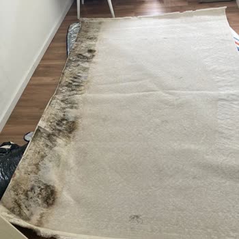 Küflü Ve Hasarlı Eşyalar İçin 500 Euro Tazminat Talebi
