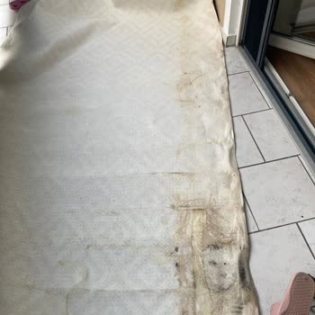 Küflü Ve Hasarlı Eşyalar İçin 500 Euro Tazminat Talebi