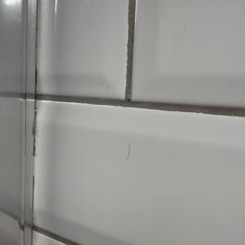 Hijyen Sorunları Ve İade Talebinde Obilet'in Yetersiz Yardımı