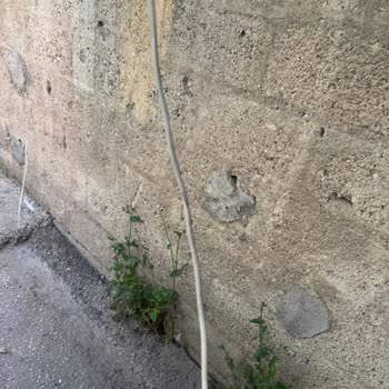 BİM Sevkiyat Tırının İşyerime Vurması Ve Onarım Sürecindeki İhmali